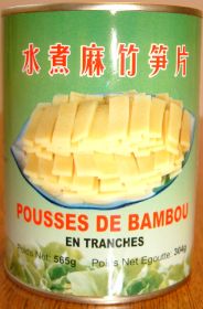 POUSSE DE BAMBOU.JPG